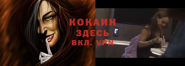 молекула духа Алексеевка