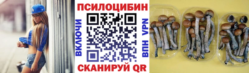 Галлюциногенные грибы MAGIC MUSHROOMS  блэк спрут как зайти  Амурск 